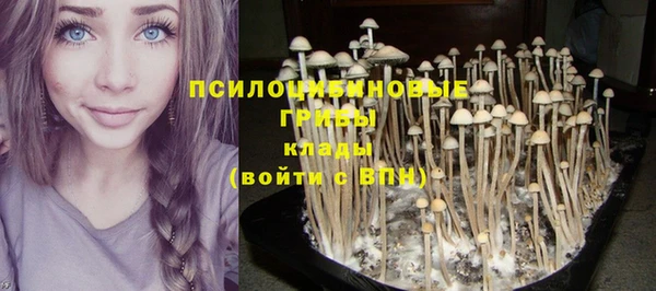 герыч Инсар