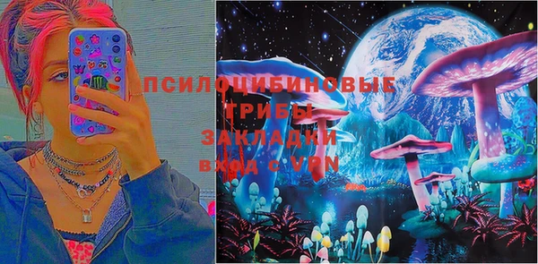 твердый Иннополис