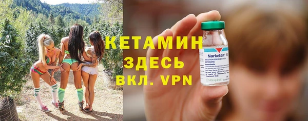 дмт Щигры