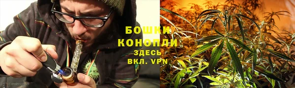 твердый Иннополис